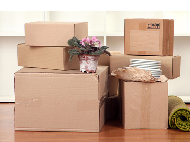 Annapurna Packers & Movers